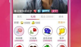 codm直播91,揭秘热门游戏主播的幕后故事